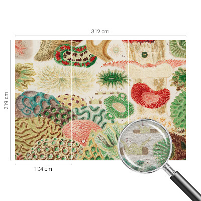 Papier peint panoramique intissé moderne Organické tvary