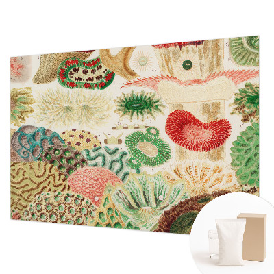 Papier peint panoramique intissé moderne avec des formes organiques