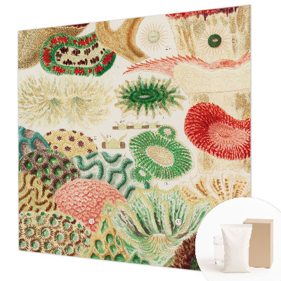 Papier peint panoramique intissé moderne Organické tvary