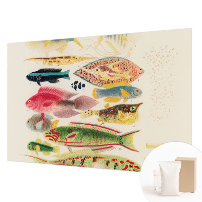 Papier peint photo intissé avec un motif de poissons colorés