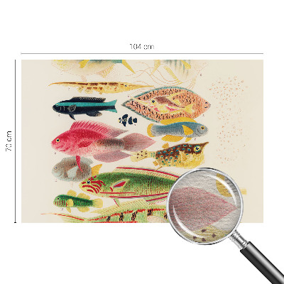 Papier peint photo intissé Farebné ryby