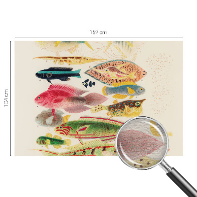 Papier peint photo intissé avec un motif de poissons colorés