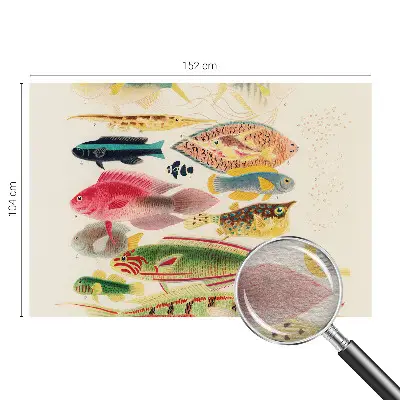 Papier peint photo imprimé sur tissu non tissé Poissons colorés