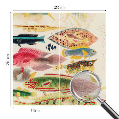 Papier peint photo intissé Farebné ryby