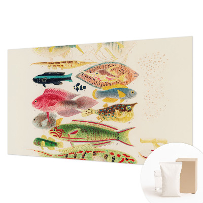 Papier peint photo intissé avec un motif de poissons colorés