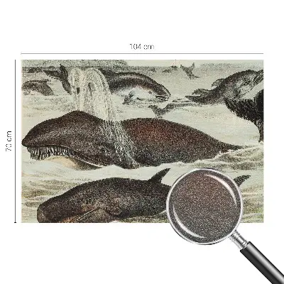 Papier peint panoramique chambre adulte avec des motifs de créatures marines