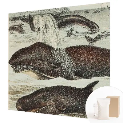 Papier peint photographique sur tissu non tissé créatures marines