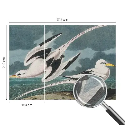 Papier peint photographique intissé Oiseaux au bord de la mer