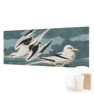 Papier peint photographique intissé Oiseaux au bord de la mer