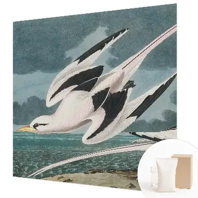 Papier peint photographique intissé Oiseaux au bord de la mer
