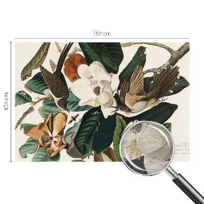 Papier peint photographique sur tissu non tissé oiseaux magnolias