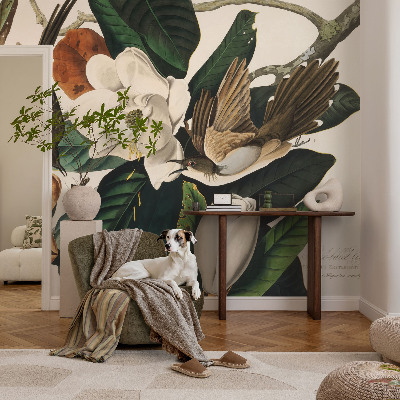 Papier peint panoramique salon Vtáky magnólie