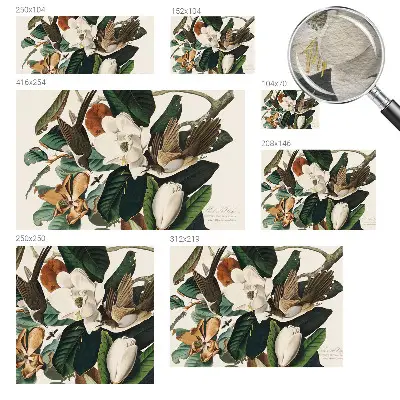 Papier peint photographique sur tissu non tissé oiseaux magnolias