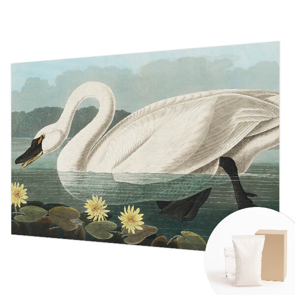 Papier peint panoramique chambre avec un motif de cygne et de nénuphars