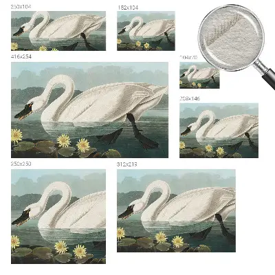 Papier peint intissé imprimé Cygnes et nénuphars