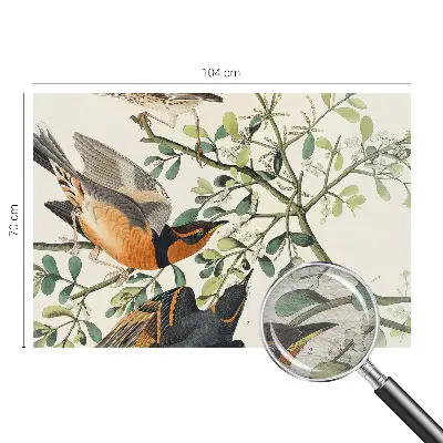 Papier peint intissé oiseaux colorés
