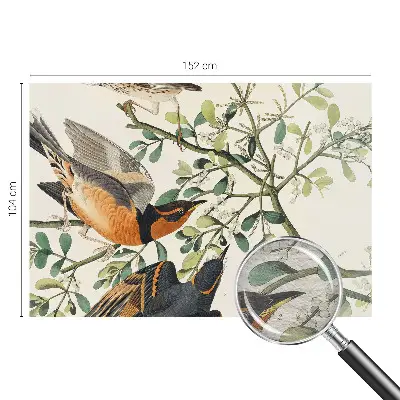 Papier peint intissé oiseaux colorés