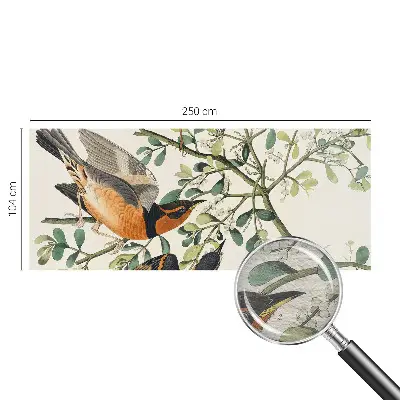 Papier peint intissé oiseaux colorés