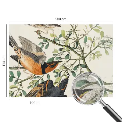 Papier peint panoramique chambre adulte avec des oiseaux colorés