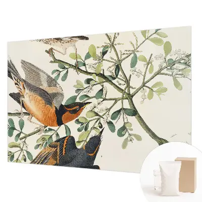 Papier peint intissé oiseaux colorés