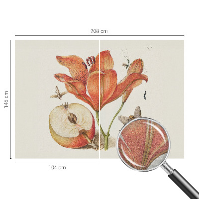 Papier peint panoramique intissé moderne Botanická ilustrácia