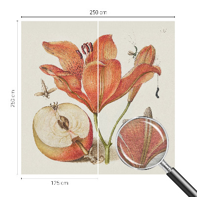 Papier peint panoramique intissé moderne Botanická ilustrácia