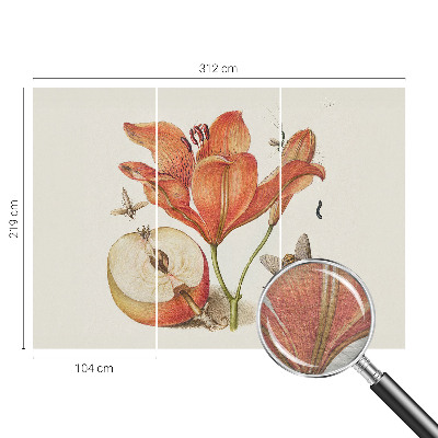 Papier peint panoramique intissé moderne Botanická ilustrácia