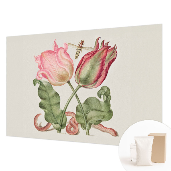 Papier peint panoramique de haute qualité avec le motif « Tulipánová krása »
