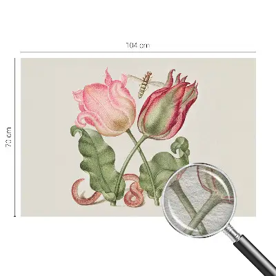 Papier peint photographique sur tissu non tissé beauté des tulipes