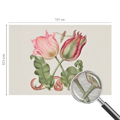 Papier peint panoramique de haute qualité avec le motif « Tulipánová krása »