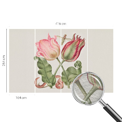 Papier peint panoramique de haute qualité avec le motif « Tulipánová krása »