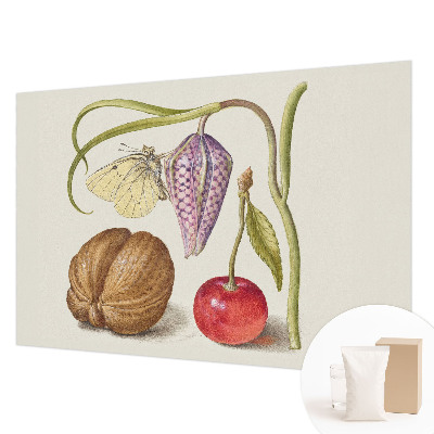 Papier peint photo intissé Motýlia rastlina