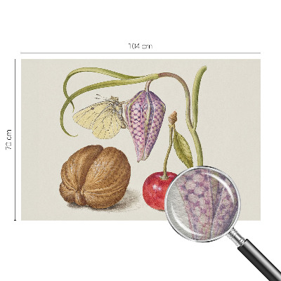 Papier peint photo intissé Motýlia rastlina