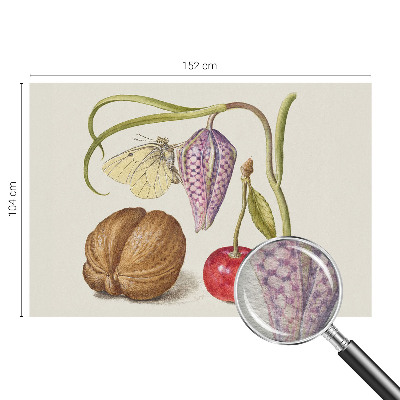 Papier peint photo intissé Motýlia rastlina