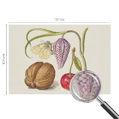 Papier peint photo grand format pour le mur plante papillon