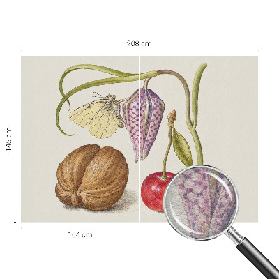 Papier peint photo intissé Motýlia rastlina