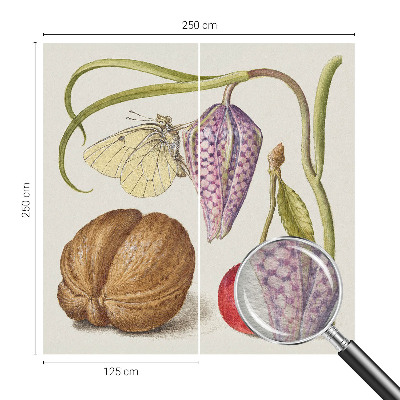 Papier peint photo intissé Motýlia rastlina