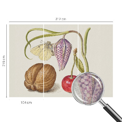 Papier peint photo intissé Motýlia rastlina