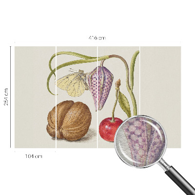 Papier peint photo intissé Motýlia rastlina