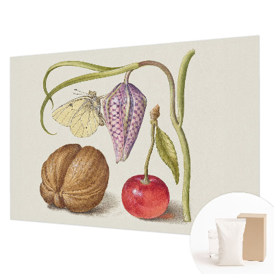 Papier peint photo intissé Motýlia rastlina