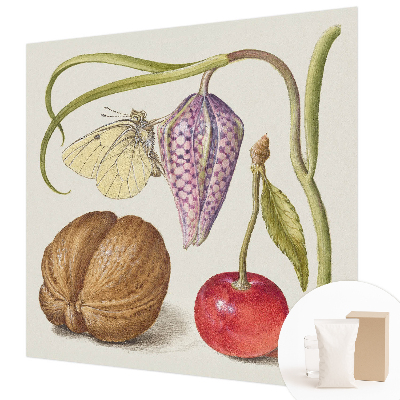 Papier peint photo intissé Motýlia rastlina