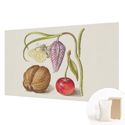 Papier peint photo intissé Motýlia rastlina