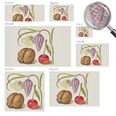 Papier peint photo intissé Motýlia rastlina