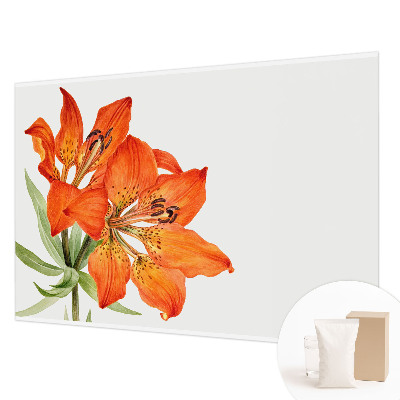 Papier peint photographique avec un motif de lys orange