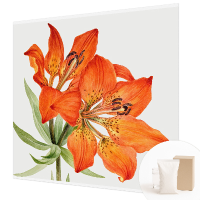 Papier peint photographique avec un motif de lys orange