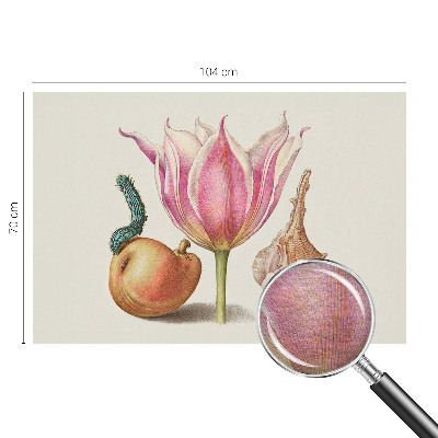 Papier peint photographique salon Prirodzená symbióza