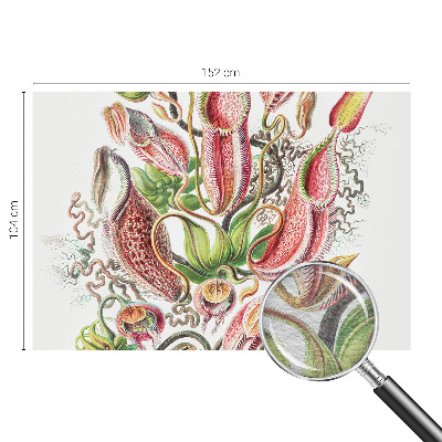 Papier peint panoramique intissé avec un motif détaillé de plantes