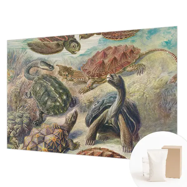 Papier peint panoramique chambre avec motif de faune de tortues