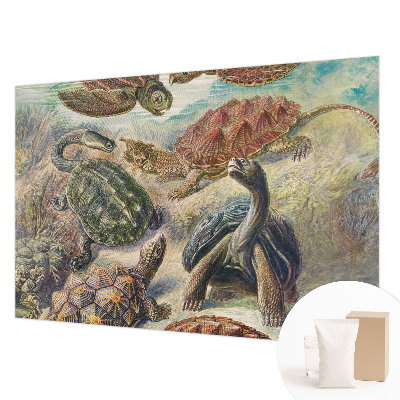 Papier peint panoramique chambre avec motif de faune de tortues