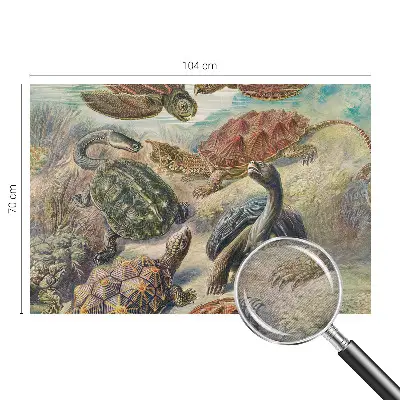 Papier peint panoramique chambre avec motif de faune de tortues